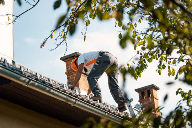 Best New Roof Installation  in Tomah, WI