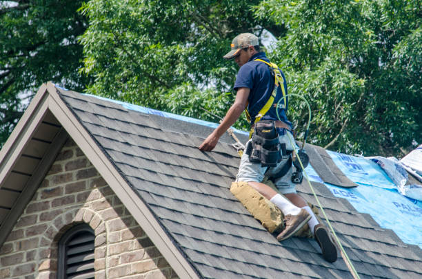 Best Gutter Installation and Roofing  in Tomah, WI